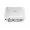 RG-AP630(IODA)