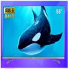 B58A620U