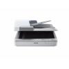 Epson D...